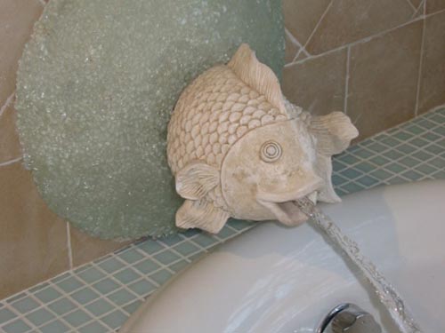 the fish fills the tub